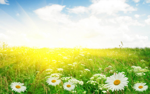958498 (a): :2880x1800